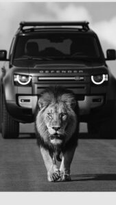 Matte black car wallpaper close-up shot