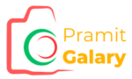 pramitgalary.com