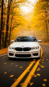 BMW car wallpaper front view HD image