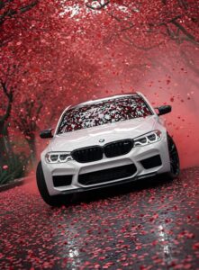 BMW car wallpaper in sunset background