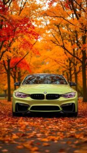 BMW car wallpaper side profile luxury vehicle