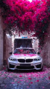 BMW car wallpaper high resolution vehicle shot