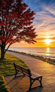 Peaceful sunrise landscape morning sunrise images