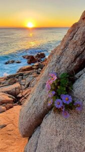 Peaceful morning sunrise images with natural beauty