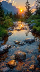 Early morning sunrise images with golden sunlight and mist