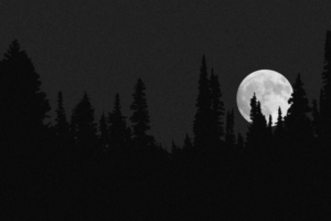 Dark black desktop wallpaper