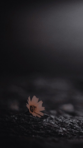 Dark black mobile wallpaper