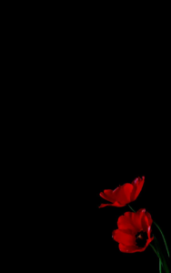 Dark black screen wallpaper