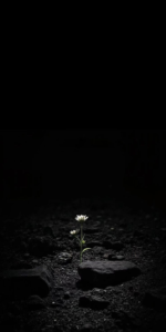Aesthetic dark black wallpaper