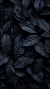 Dark black background 4K