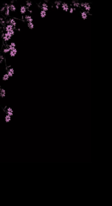 Black wallpaper background image