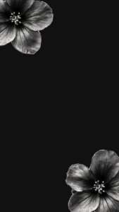 Moody black aesthetic background