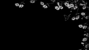 Black desktop wallpaper 4K