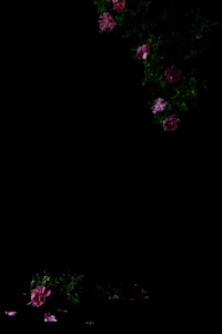 Deep black HD wallpaper